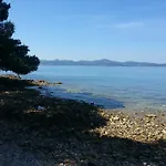 Levanat Zara